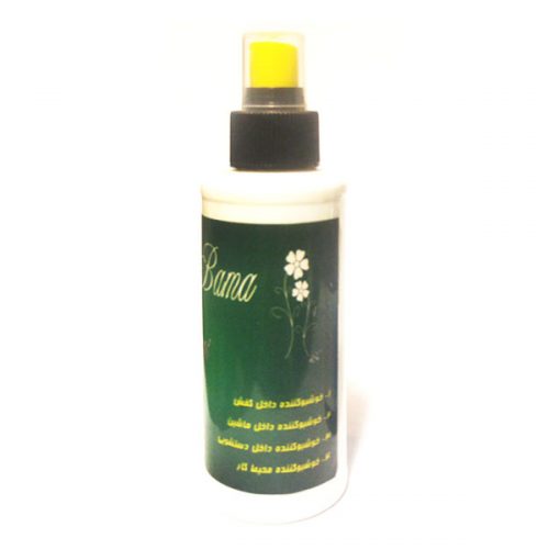 اسپری بوگیر کفش